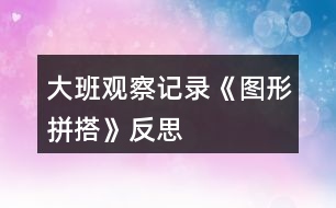 大班觀察記錄《圖形拼搭》反思