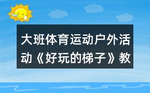 大班體育運(yùn)動(dòng)戶(hù)外活動(dòng)《好玩的梯子》教案反思