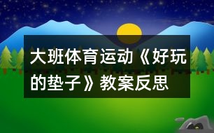 大班體育運動《好玩的墊子》教案反思