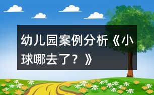 幼兒園案例分析《小球哪去了？》