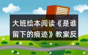 大班繪本閱讀《是誰留下的痕跡》教案反思