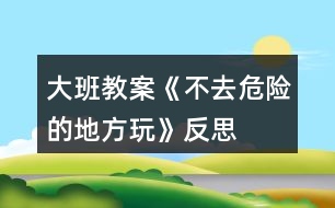 大班教案《不去危險(xiǎn)的地方玩》反思