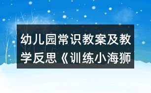 幼兒園常識(shí)教案及教學(xué)反思《訓(xùn)練小海獅》