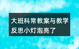 大班科常教案與教學反思小燈泡亮了