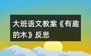 大班語文教案《有趣的木》反思