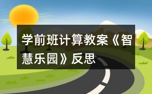 學(xué)前班計(jì)算教案《智慧樂園》反思