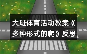 大班體育活動教案《多種形式的爬》反思