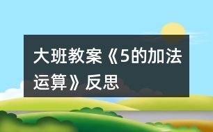 大班教案《5的加法運算》反思