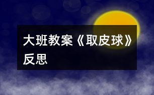 大班教案《取皮球》反思