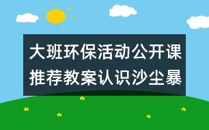 大班環(huán)?；顒?dòng)公開(kāi)課推薦教案：認(rèn)識(shí)沙塵暴