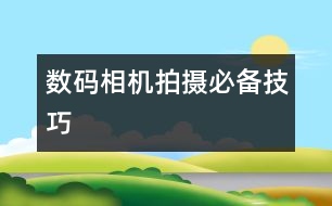 數(shù)碼相機拍攝必備技巧