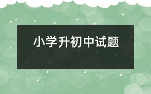 小學(xué)升初中試題