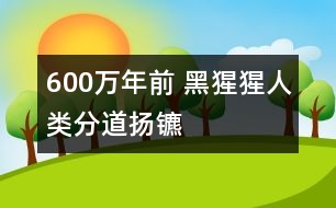 600萬(wàn)年前 黑猩猩人類分道揚(yáng)鑣