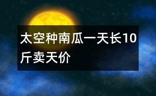 太空種南瓜一天長(zhǎng)10斤賣(mài)天價(jià)