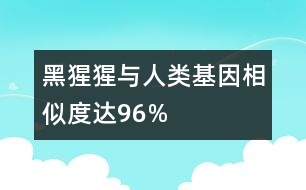 黑猩猩與人類基因相似度達96%