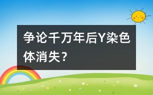 爭(zhēng)論：千萬年后Y染色體消失？