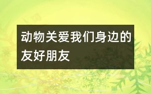 動物：關愛我們身邊的友好朋友