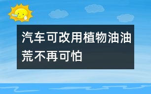 汽車可改用植物油油荒不再可怕