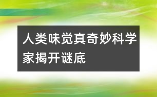 人類味覺真奇妙科學(xué)家揭開謎底