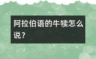 阿拉伯語(yǔ)的牛犢怎么說？