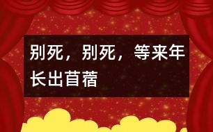 別死，別死，等來(lái)年長(zhǎng)出苜蓿