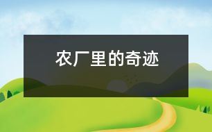 農(nóng)廠里的奇跡