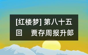 [紅樓夢(mèng)] 第八十五回    賈存周報(bào)升郎中任  薛文起復(fù)惹放流刑