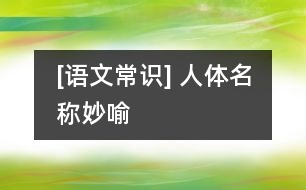 [語(yǔ)文常識(shí)] 人體名稱妙喻