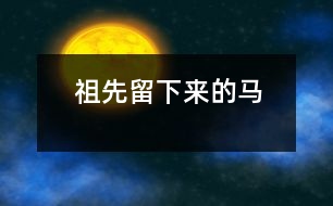 祖先留下來(lái)的馬