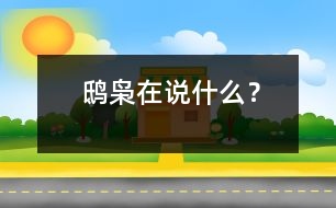 鴟梟在說什么？